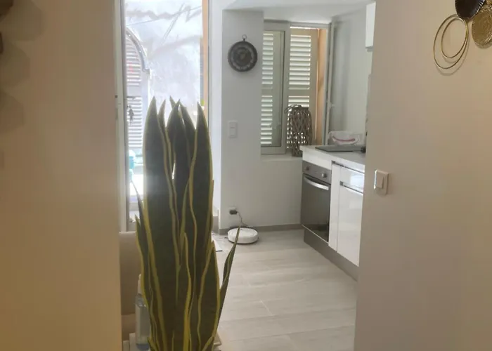 Grand Neuf A 50 M Du Port Apartmán