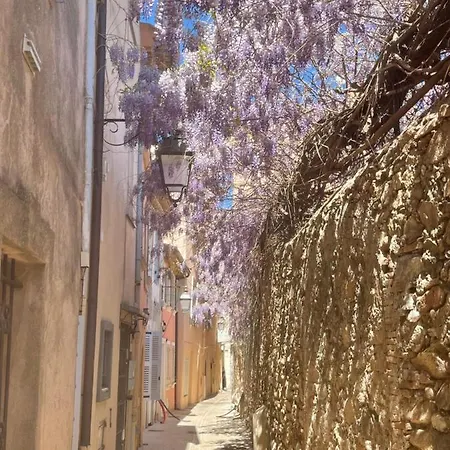 Apartment Grand Neuf A 50 M Du Port *