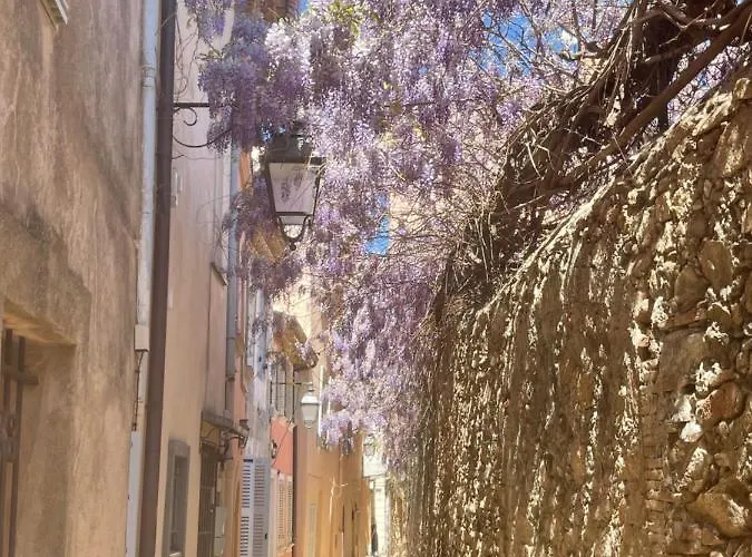 Διαμέρισμα Grand Neuf A 50 M Du Port *