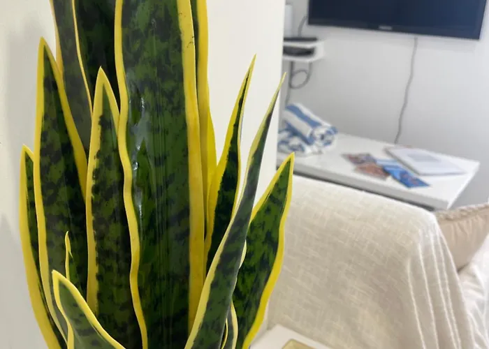 Apartamento Grand Neuf A 50 M Du Port *